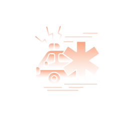 Emergency medical treatment and hospitalisation